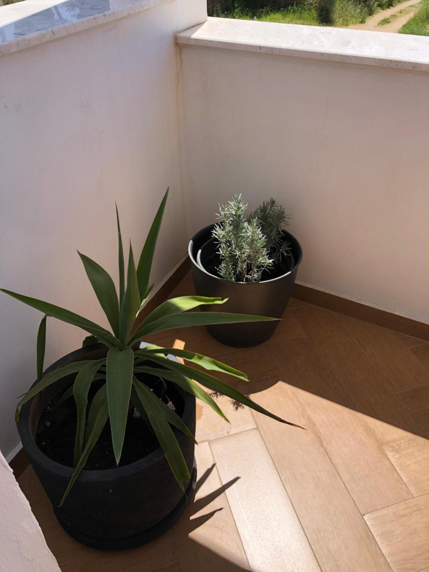 Apartments Lungo Mare ウルツィニ エクステリア 写真