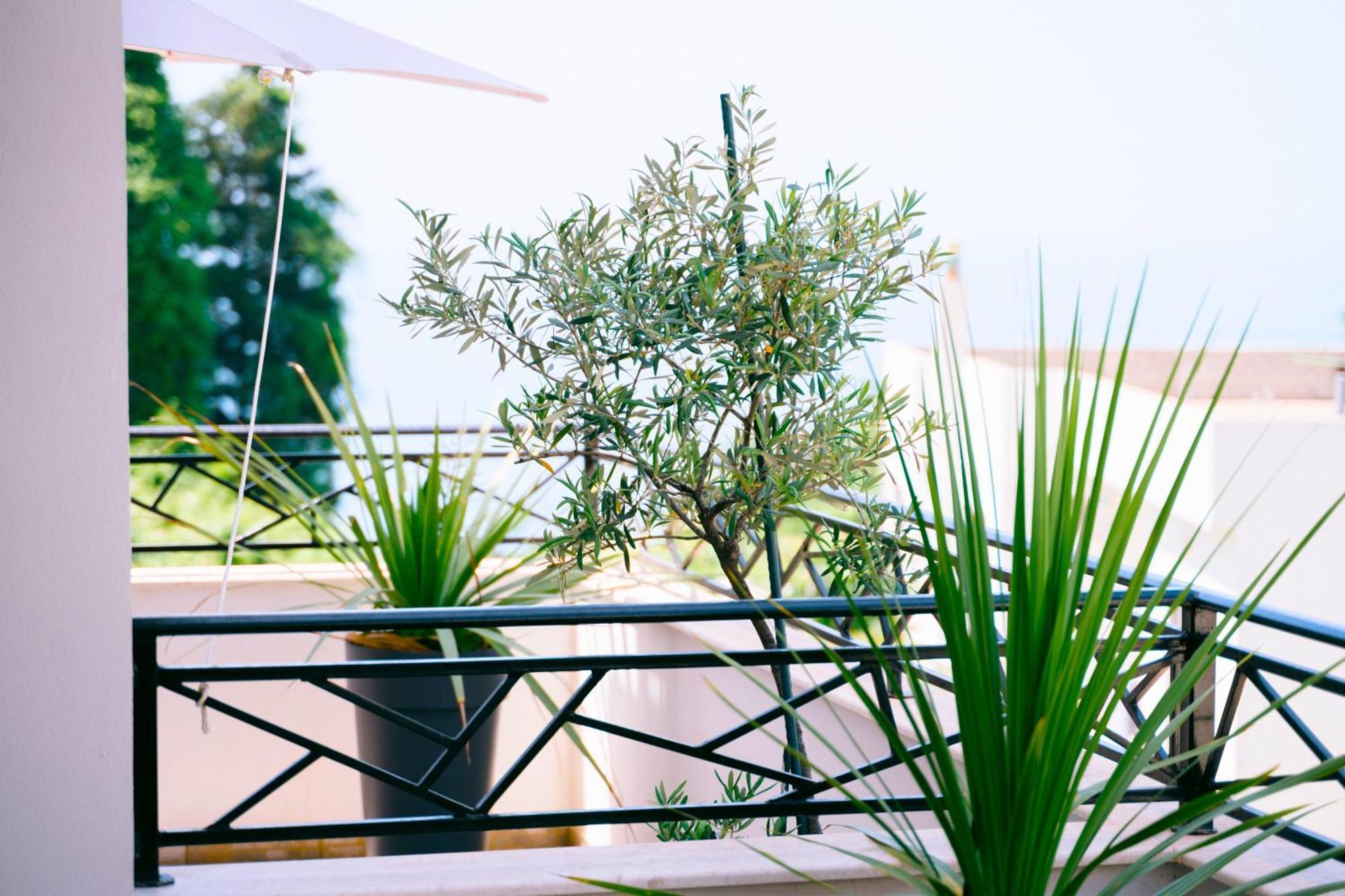 Apartments Lungo Mare ウルツィニ エクステリア 写真